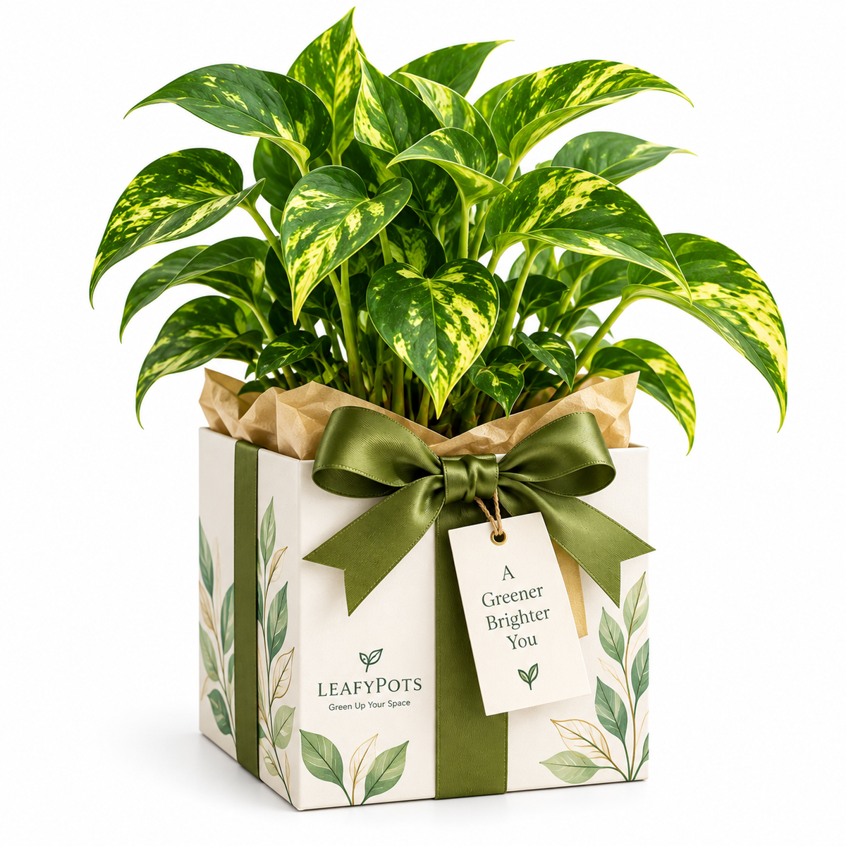 Gifting